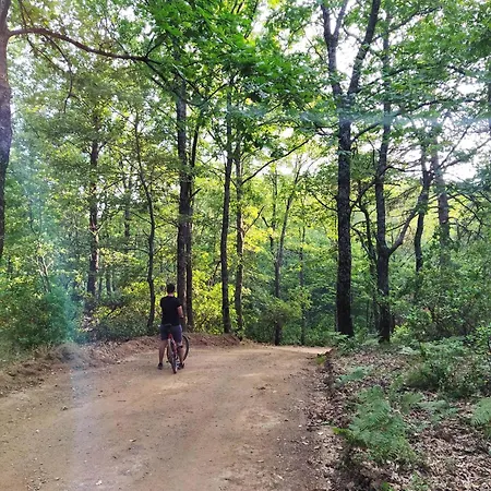 Evia Forest Village Pappades