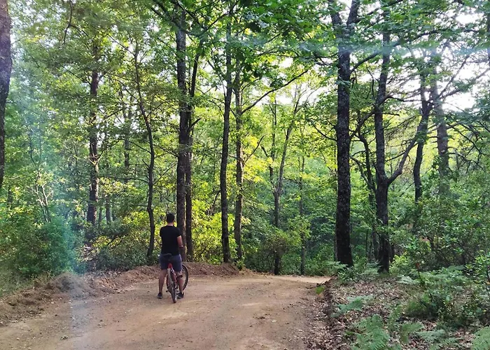 Evia Forest Village Pappades